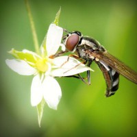 /album/produto-innovador-tecnologico/photolia-a02-jpg/