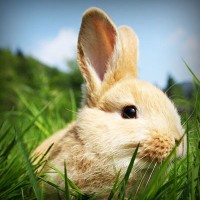 /album/produto-innovador-tecnologico/photolia-a03-jpg/