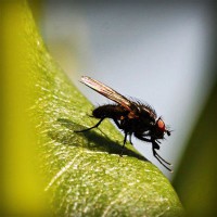 /album/produto-innovador-tecnologico/photolia-a04-jpg/