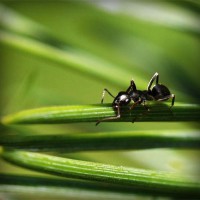 /album/produto-innovador-tecnologico/photolia-a05-jpg/