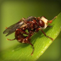 /album/produto-innovador-tecnologico/photolia-a06-jpg/