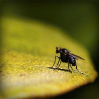 /album/produto-innovador-tecnologico/photolia-a07-jpg/