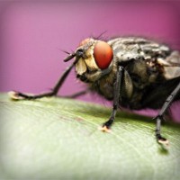 /album/produto-innovador-tecnologico/photolia-a08-jpg/